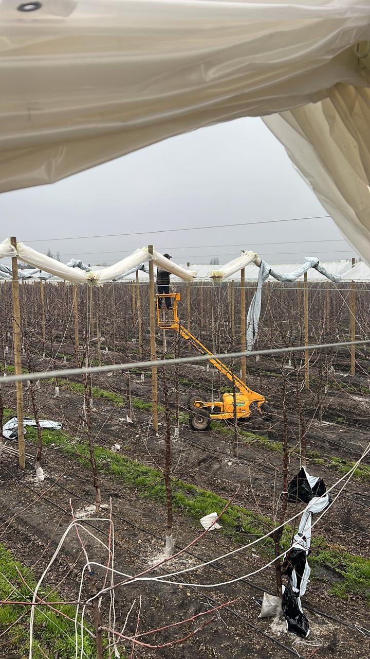 Maquinaria agrícola en huerto
